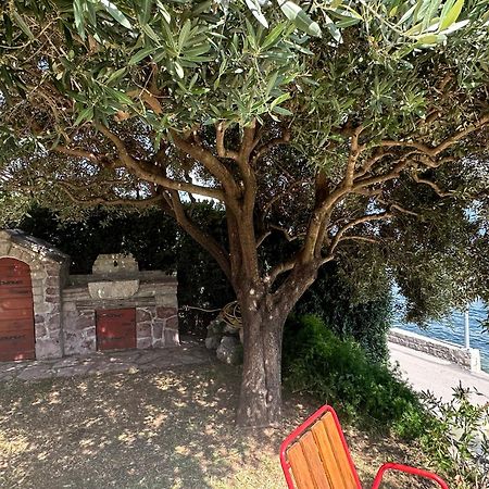 הרצג-נובי Vila Jadranka Apartments מראה חיצוני תמונה