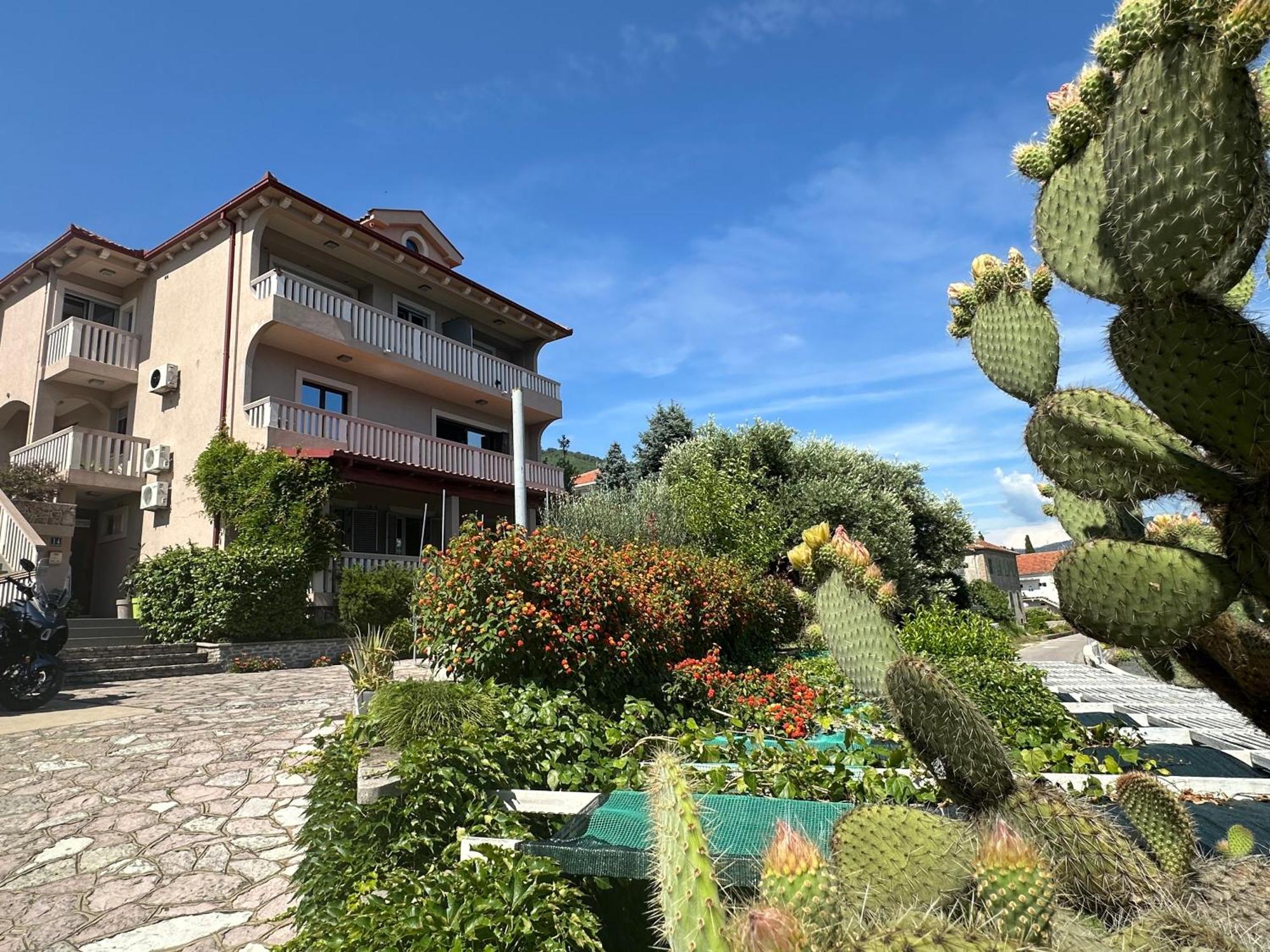 הרצג-נובי Vila Jadranka Apartments מראה חיצוני תמונה